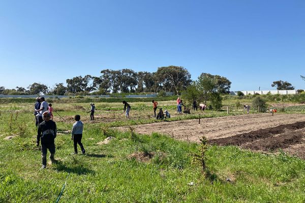 Farm Garden