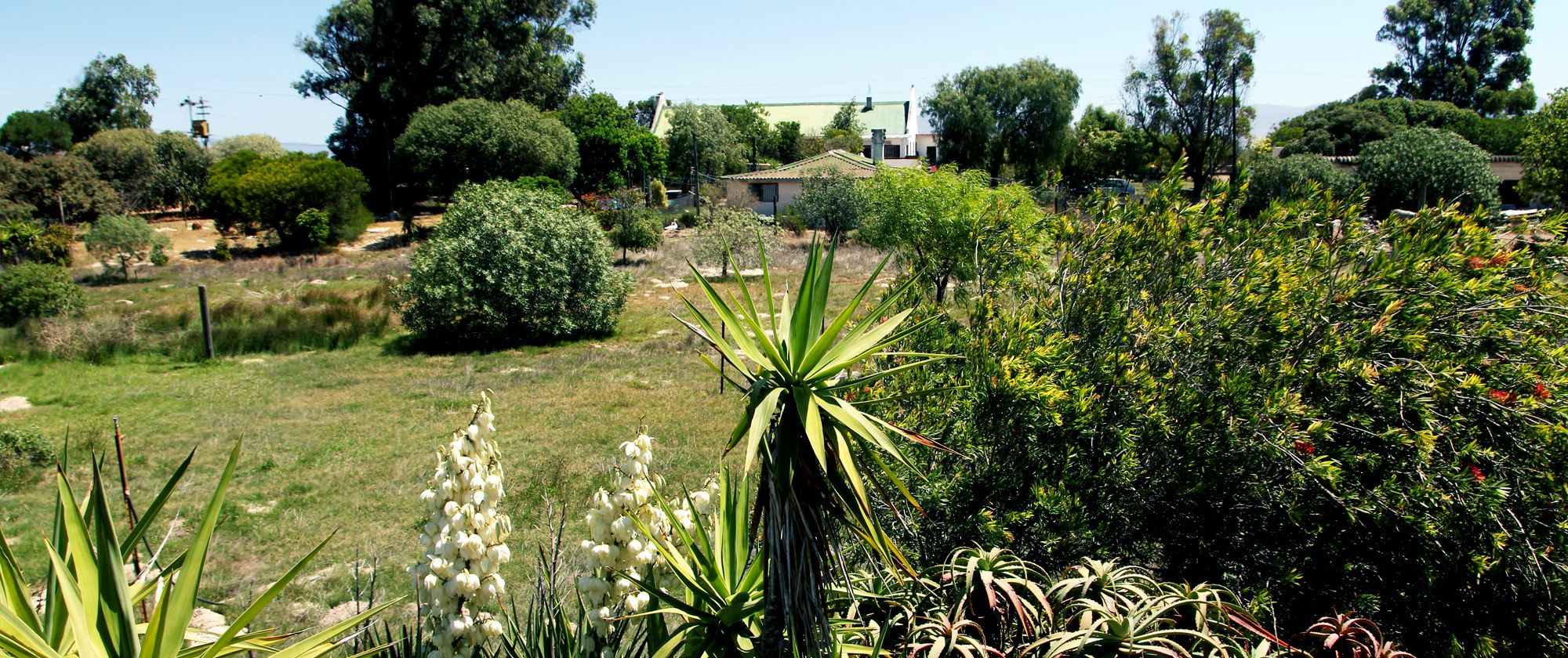 Die Farm
